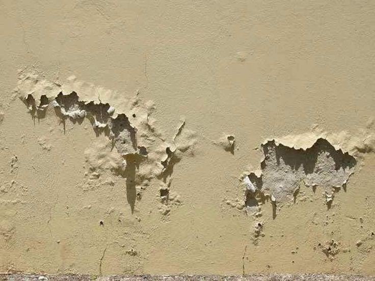 Damp Proof Paint - Image 4