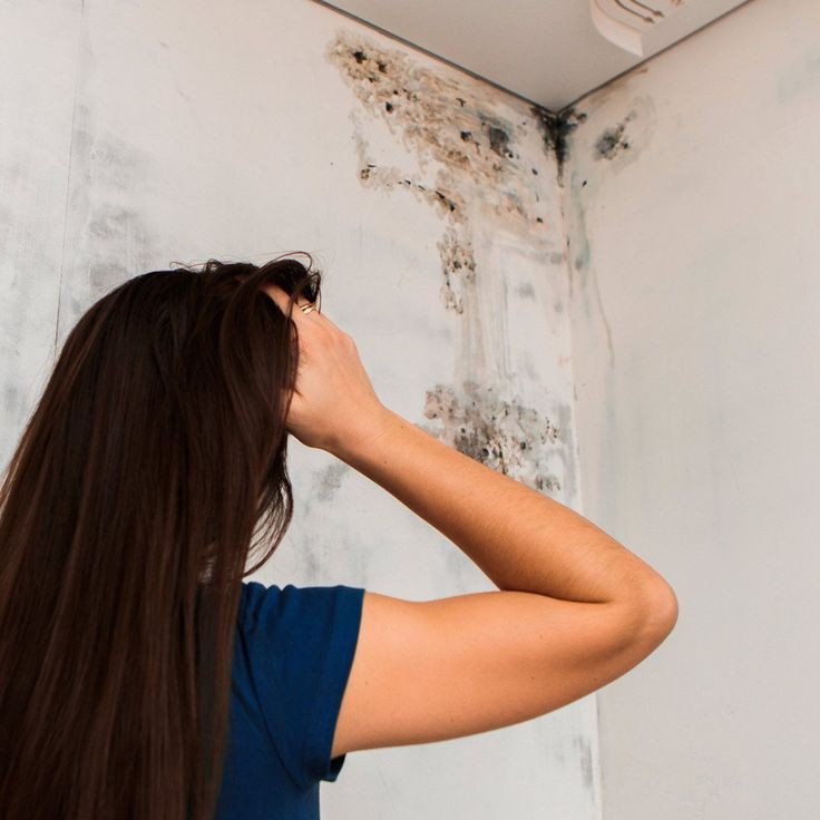 Damp Proof Paint - Image 2