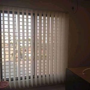 Vertical Blind